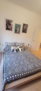 Cornelia House - Roma - 5