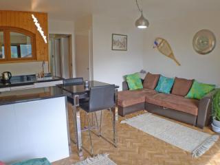 Studio lumineux avec balcon, parking, WiFi et animaux acceptés à Samoëns - FR-1-629-120 - Samoëns - 6