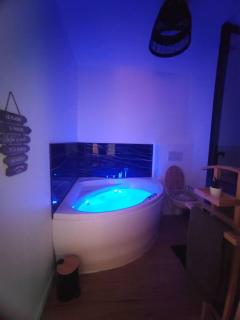 T2 balnéothérapie, jardin, parking, tram, boulodrome - 8