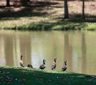 Casa dos sonhos, relaxar Ninho Verde 1 com Piscina - 1
