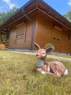 Etno selo Rasinski Lug - 6