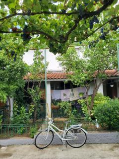 Unique Traditional House, hosted by J&G - Tirana - 7