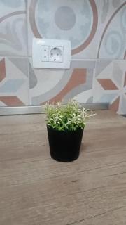 Apartman-Studio Bobana - 4