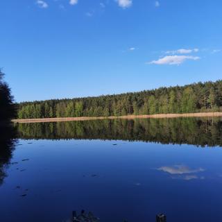 Ostoja Sawica - Szczytno - 8