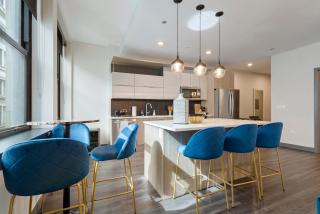 Experience Downtown Chicago at Millennium - Luxury Apartments in The Loop - 7