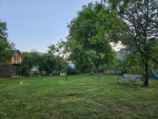 Guest House Aleksandre - T'mogvi - 1