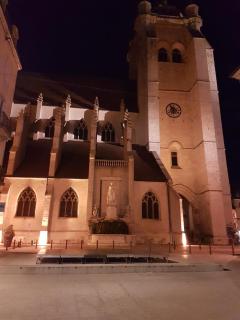 La place aux fleurs - Dole - 1