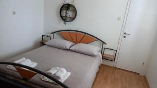 Artičok Jelsa - 2