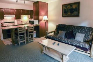 Fawn Valley Inn- 290 condo - 7