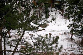 Fawn Valley Inn- 290 condo - 2