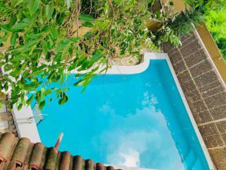 Amarelo Goa - 0