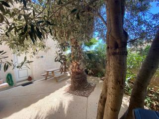 Magnifique maison vue sur la mer avec piscine commune à 800m de la plage - 3