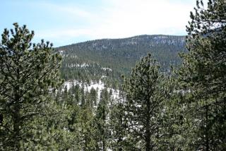 Fawn Valley Inn- 278 condo - 4