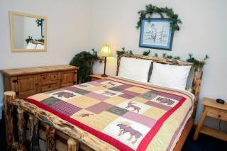 Timber Creek Chalets- 9 chalet - 4