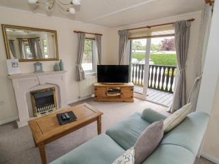 Snowdrop - Leominster - 6