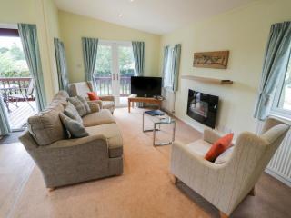 Daffodil - Leominster - 8