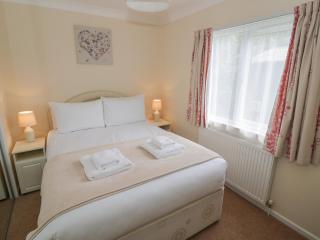 Daffodil - Leominster - 1
