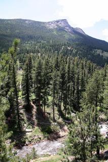 Fawn Valley Inn- 303 apts - 1