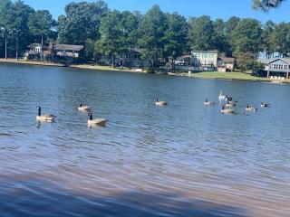 Modern 3br Lake front home - Sanford - 3