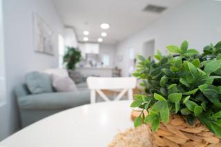 Cozy Stylish Chic Home Ybor, Dt Central Location - Tampa - 4