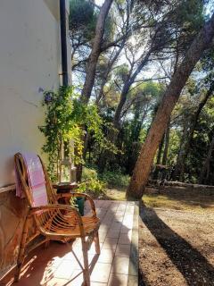 La casa in pineta - Quercianella - 5