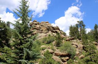 Sunnyside Knoll- 18 cabin - 1