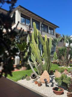 Cactus house - Corchiano - 4