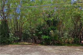 Manglar 2 - Puerto Morelos - 7