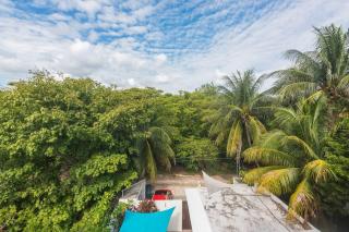 Manglar 2 - Puerto Morelos - 5