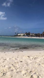 Manglar 2 - Puerto Morelos - 3