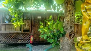 Moalboal Bamboo House / Rooms - Moalboal - 7