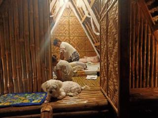 Moalboal Bamboo House / Rooms - Moalboal - 6