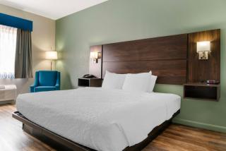 Best Western Clare Hotel - 2