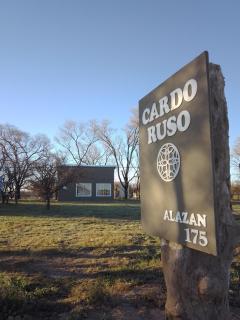 Cardo Ruso Cabaña - Toay - 0