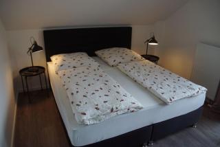 Luise - Brasilien (Schönberg) - 5