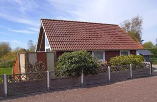 Seepferdchen - Brasilien - 9