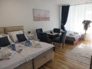 Lux apartment 10 center, free parking - Niš - 5