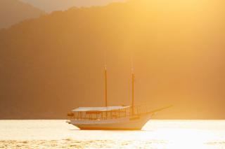 Hotel Bem Te Vi - Ubatuba - 9