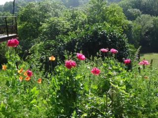 Gîte charmant avec terrasse et wifi au Puy-en-Velay - FR-1-582-331 - 8