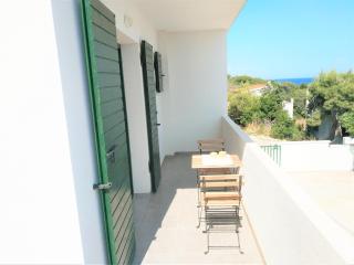 Apartments by the sea Milna, Vis - 21184 - Vis (Lissa) - 1