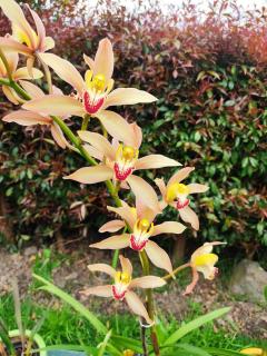 Alojamiento Rural San Antonio - 2