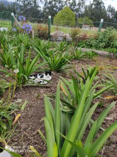 Alojamiento Rural San Antonio - 1