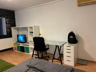Cozy Studio - Parliament area - Bucareste - 9