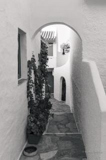 Rosys Little Village - 2