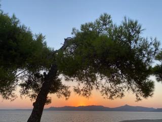 Rosys Little Village - Skala - 3
