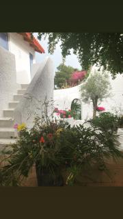 Rosys Little Village - Skala - 4