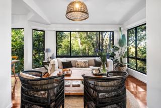 Fig Tree Nest - Montville - 8