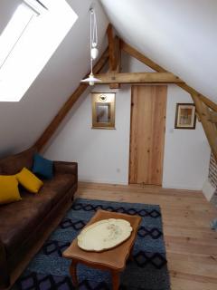 Logement du Coteau entre Beauval et Amboise - Faverolles-sur-Cher - 3
