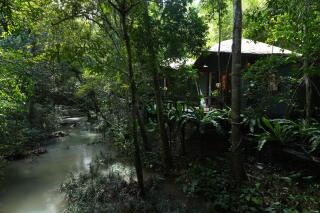 Nampien Yorla Pa - - 3