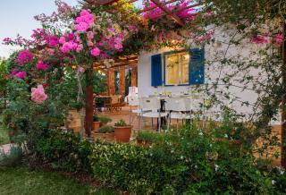 Villa in the Garden - Kokkini Khanion - 3